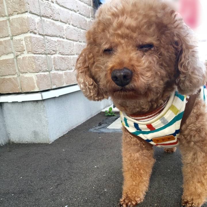 51496bb6 4e10 4c29 a1eb 8b04726b054a