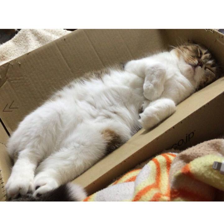 514b2505 ab22 4a7f 9f2c f039c12d5a59