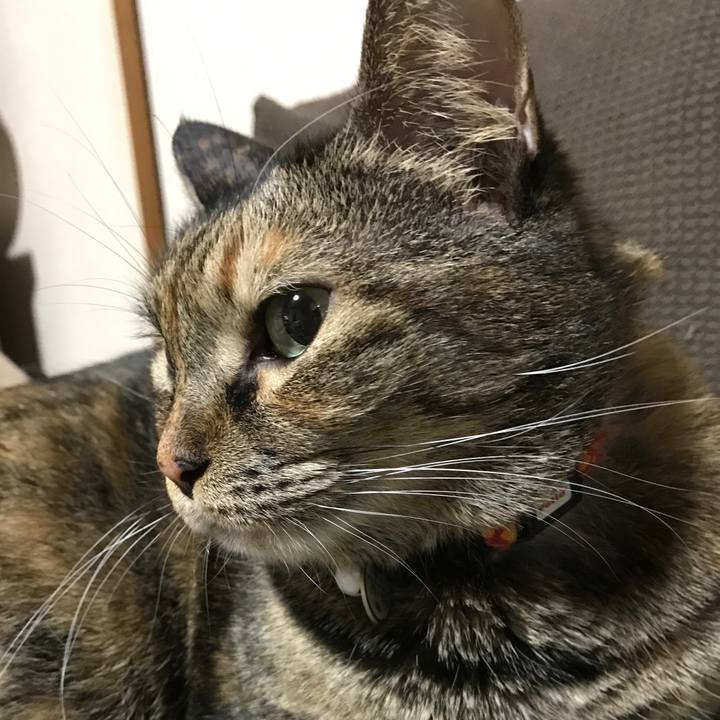 514c5240 ead7 4e51 a7db 5dcbe0b9493c