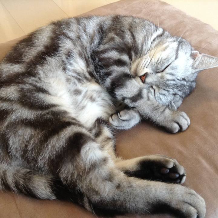 514c687d 01b1 426e b0d6 5ba8186d3f02