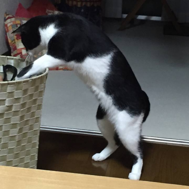 514d0709 d3f0 47b5 b25b 2dc2037e6158