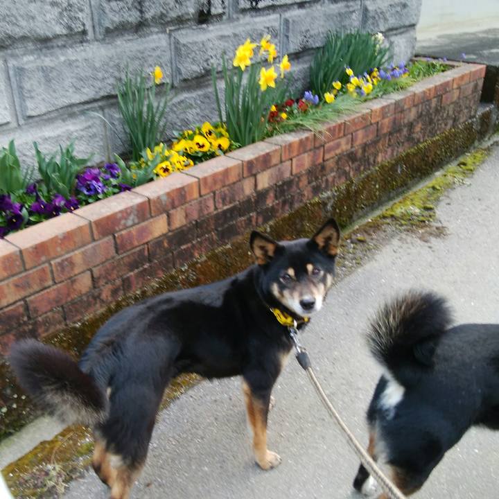 514d81e3 70f6 4c0f 80f6 303eace11494