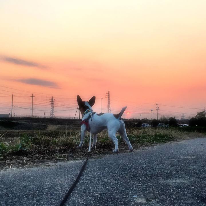 514daee4 87da 4451 985e 15cd79930923