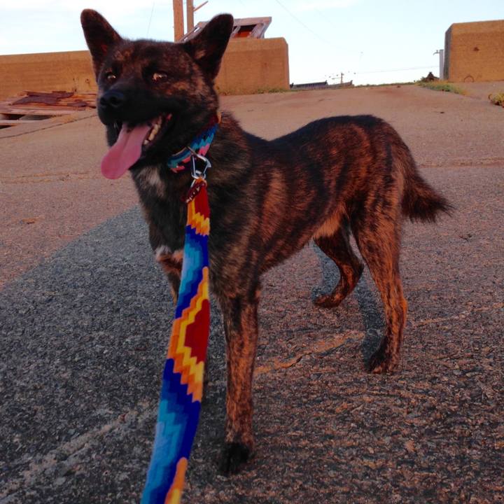 514dc514 3e90 4e22 80a5 518cf13df70c