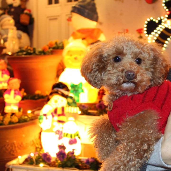 514e0ff8 0c0c 4153 849e 773bd672cb19