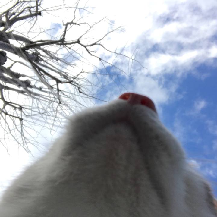 514e30f3 1016 4116 8fc0 4bdbb9535747