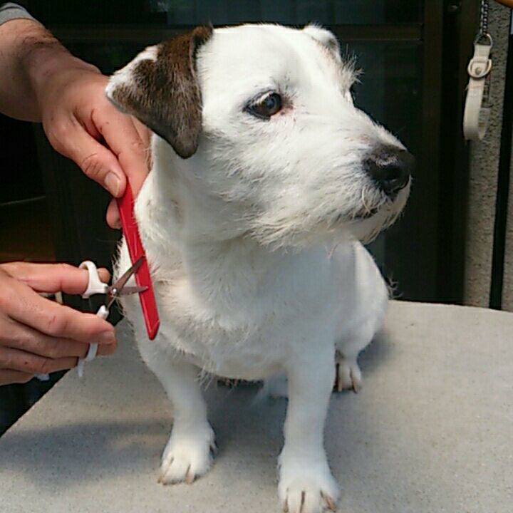 514f582c d791 4fee 9624 704133afb2bc