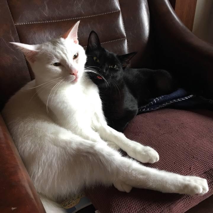 514f5e81 13d6 4a5d a801 6e65e8780188