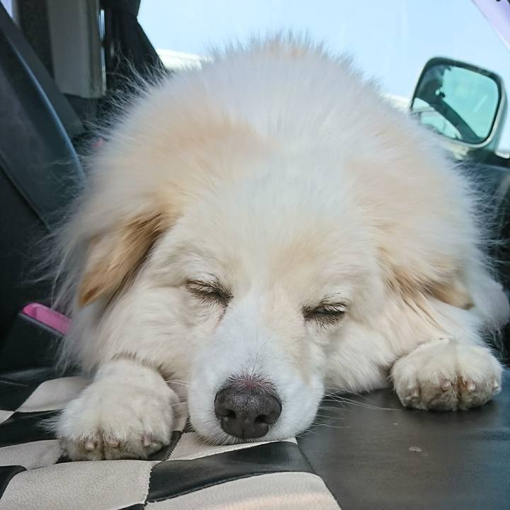 514f93c3 583b 4182 837a e0680237e6c5