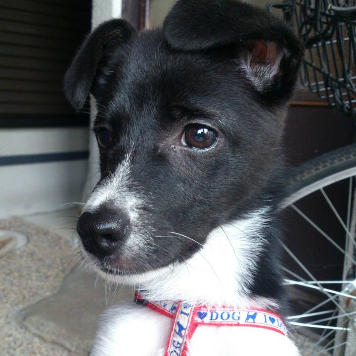 51500989 4e8a 4099 8d12 717119a9cc15