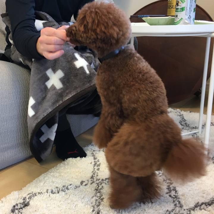 5150aee2 bbec 4a4f bdf6 6362e497ff0b