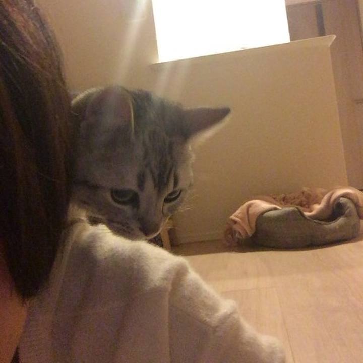 51521042 f35a 4ab7 a470 c1823cb06d3a