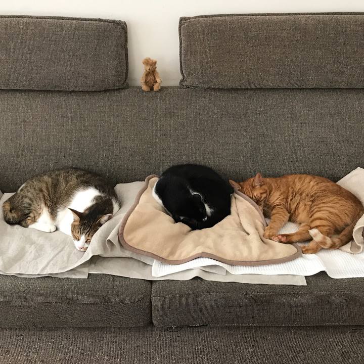 51521583 c01e 428d ad13 bc009121053e