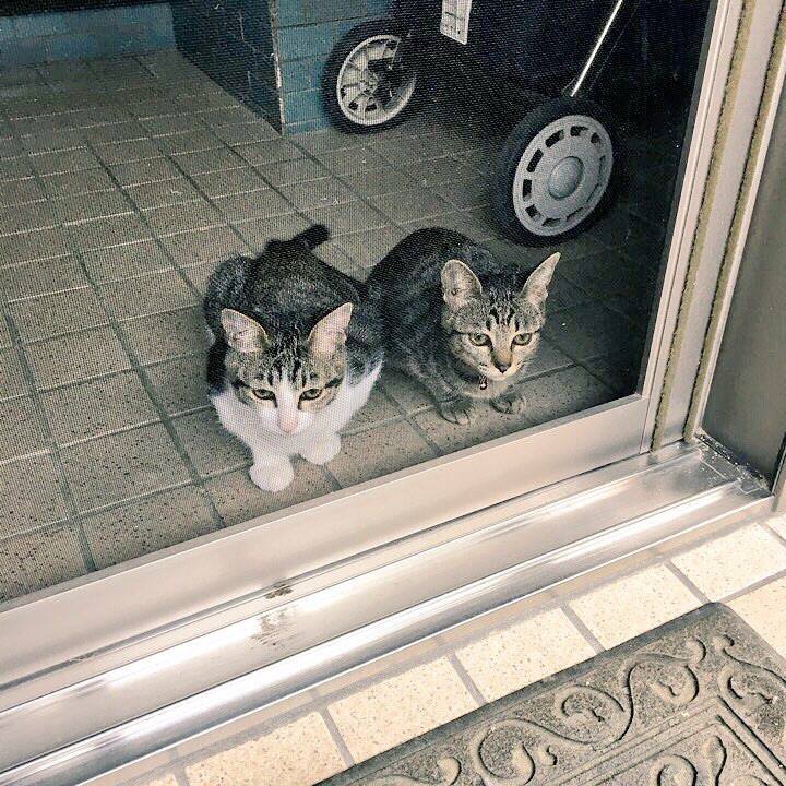 515230a3 5fdf 45bd 823b 45157eee44b6