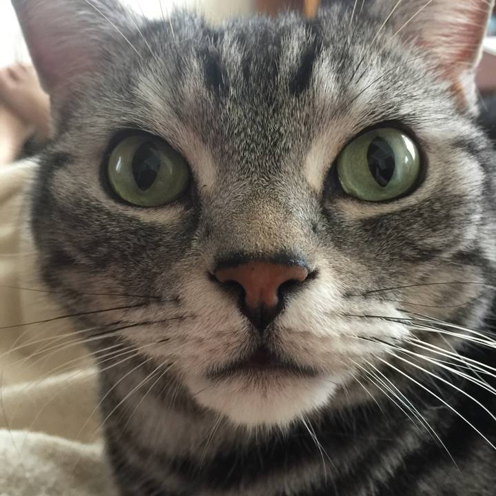 5152b229 6f78 40f6 952d 94ffc274cea7