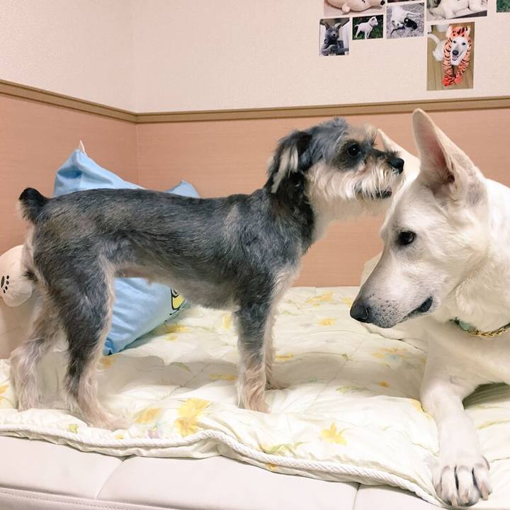 5153f6a6 33ef 4b93 bcab 66b399e6d6ab