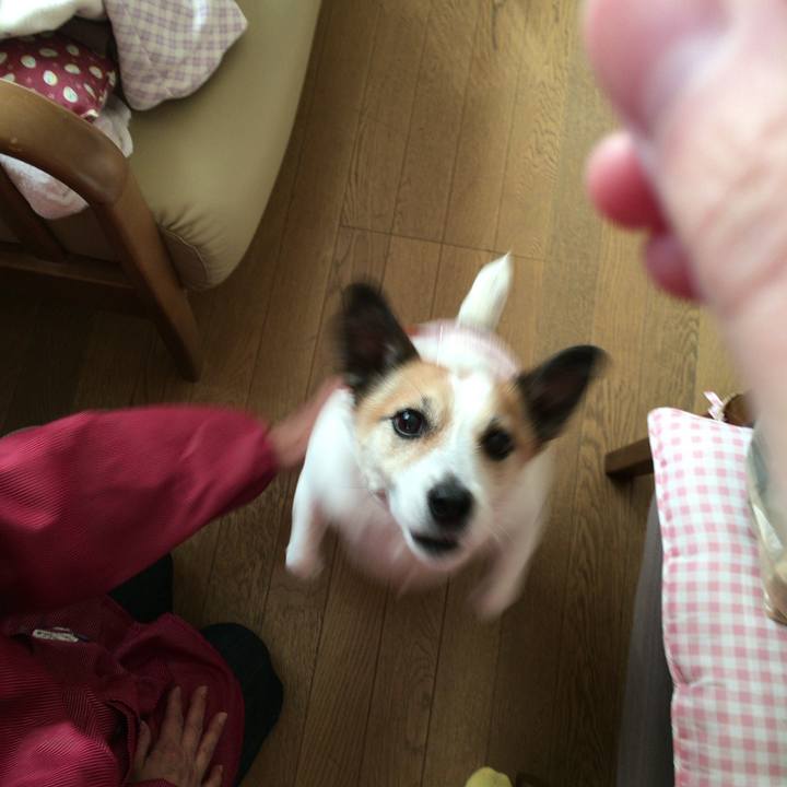 515415aa e732 4b34 b93f a09b6ca6a5c0