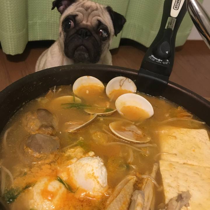 5155ecad 0685 4c04 8f39 1b1235af4a72