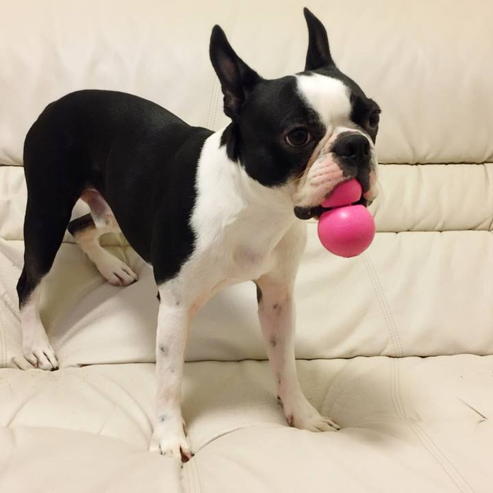 5157abe9 fd08 4b45 8d85 4e5e99f447b9