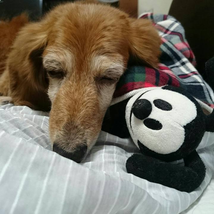 51587c68 250c 4ed7 a212 bf0d24892edd