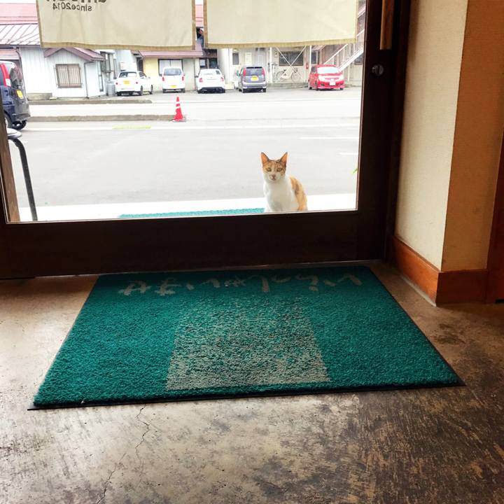 5158be28 c42f 42c2 9e37 9004e7ad5bf7