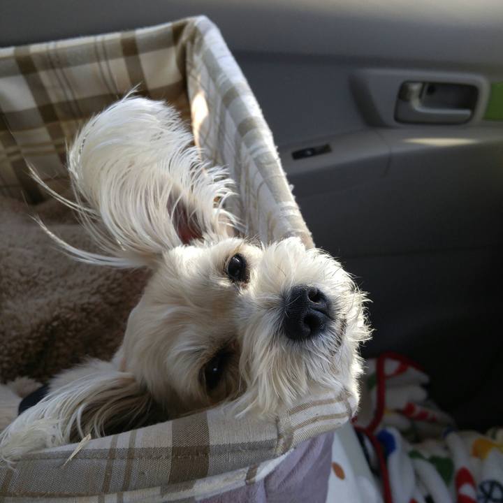 515934bf 26bf 4f23 b0f5 bddd9827acac