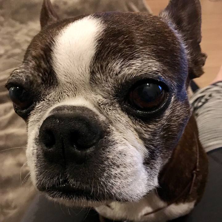 51594587 164d 443a a3d5 22d19320b337