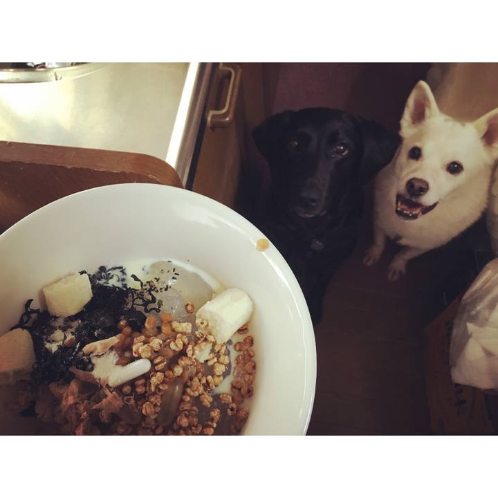 515984fd 7ce6 41a0 901a 6c427ce396a4