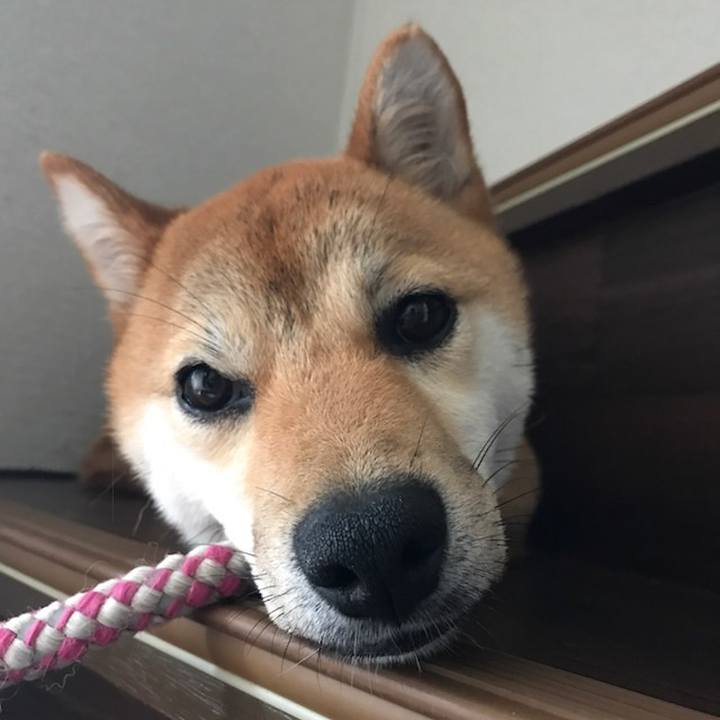 515994ed c6fc 4194 b79a 4255614f1a47