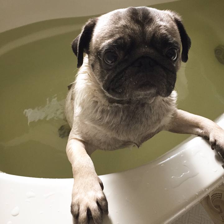 5159b2fe b926 454e 9f4f 385e909783e4