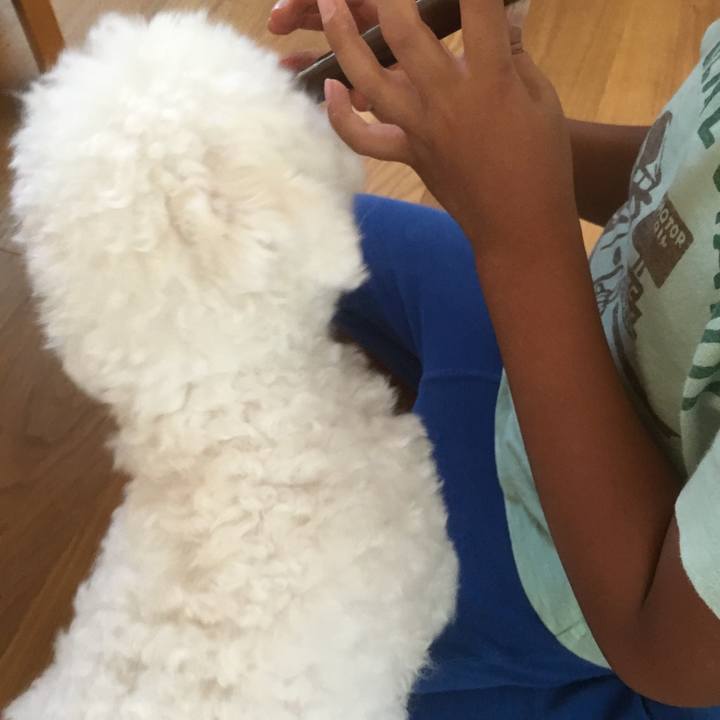 515ae925 4d25 4fc1 b26e 3b8394df2a54