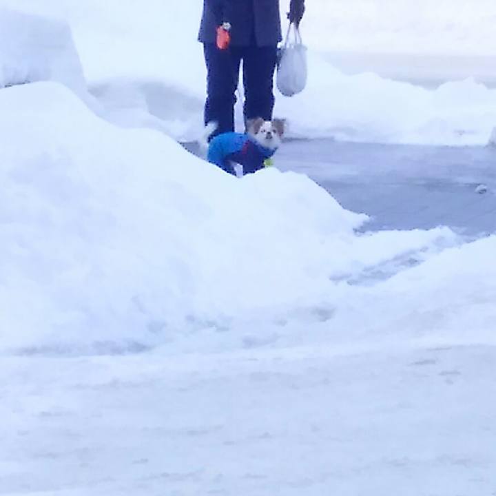 515b0445 eff6 47b0 981b c5dc2136ac30