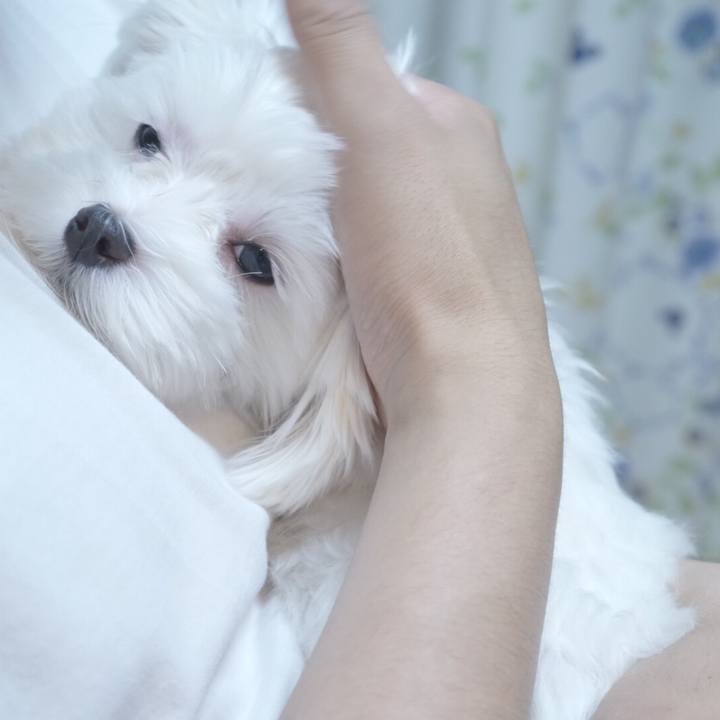 515b3832 8513 4bda 8ac4 565352a802bc