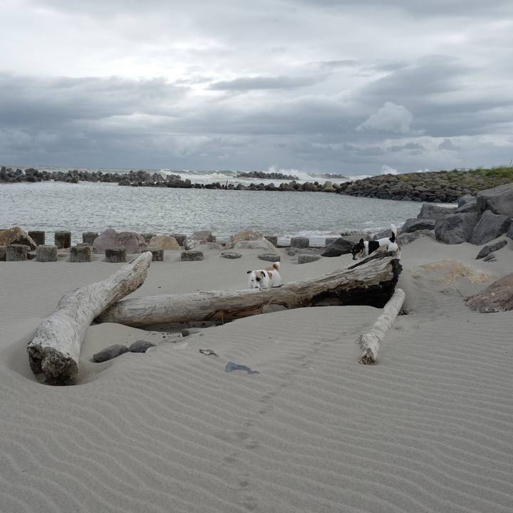 515b3a81 be9c 4ff4 a262 87440f9a5c5b