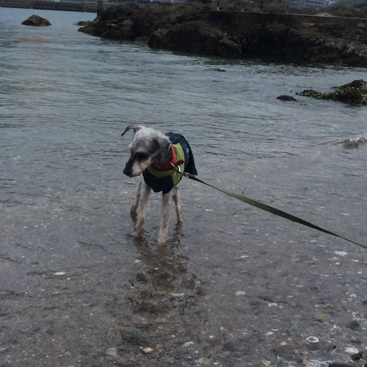 515ba9c4 613f 47f0 b2b5 d1e0b352d866