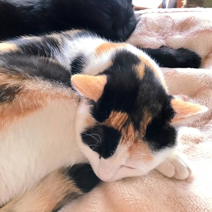 515bde0b 5699 4d2f b592 24dc5c4c35af