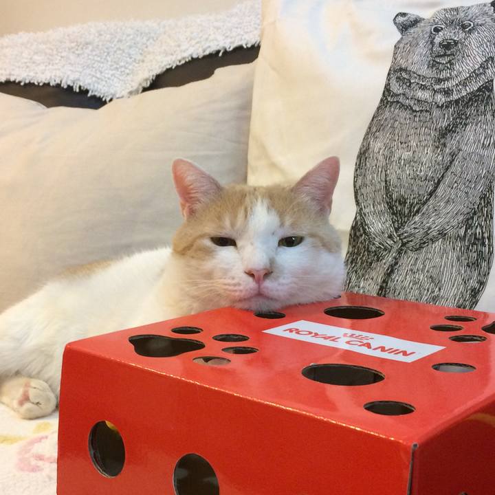 515be597 2dc4 4477 a4b3 ce83b9da1132