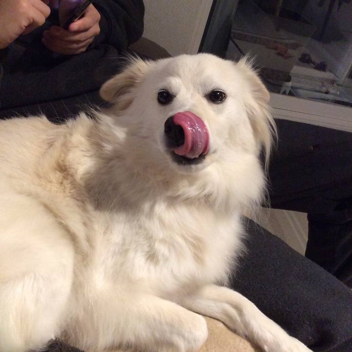 515c6784 bac4 41b7 bdea 24a7f02b05e0