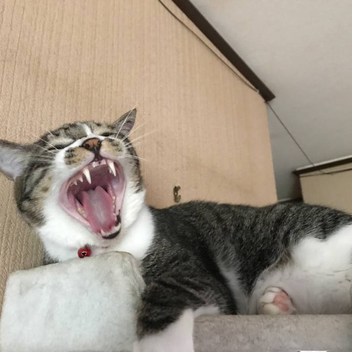 515c7191 3fc5 4ad6 a590 e4e0a35a1398