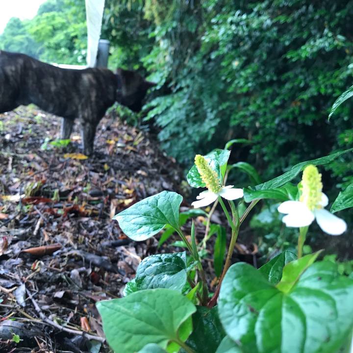 515cd294 8480 472f ba0d 694d7361ff3f