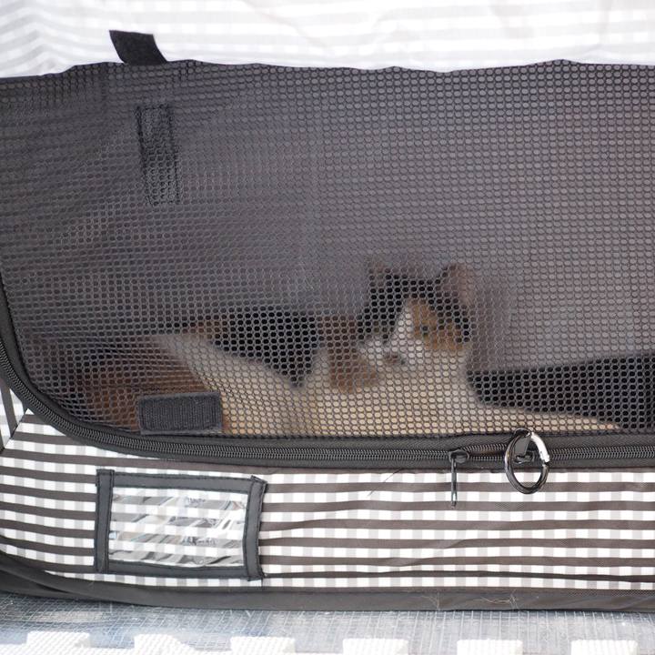 515dcad7 153e 40a4 afd2 40159889c8b9