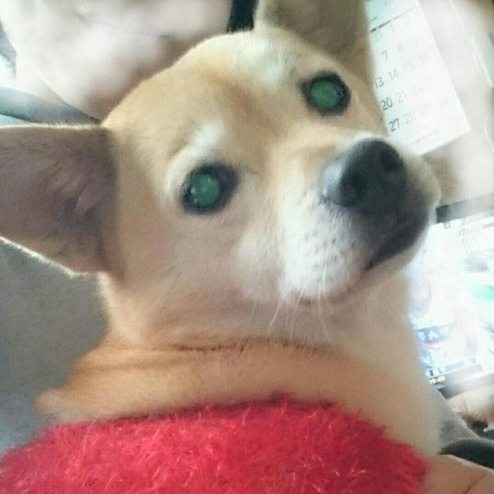 515de748 ce96 4e1e 882d 737b5a583081