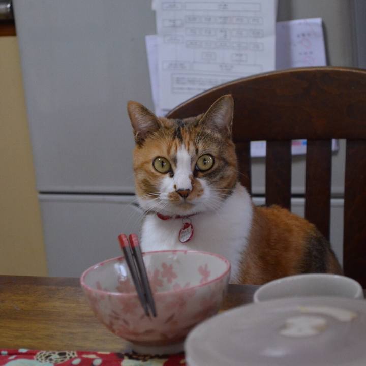 515df0d4 8b50 44af 8da6 76e2a1a52815