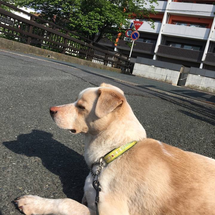 515e14aa 56fc 43ee 8c01 6cab877faf2e