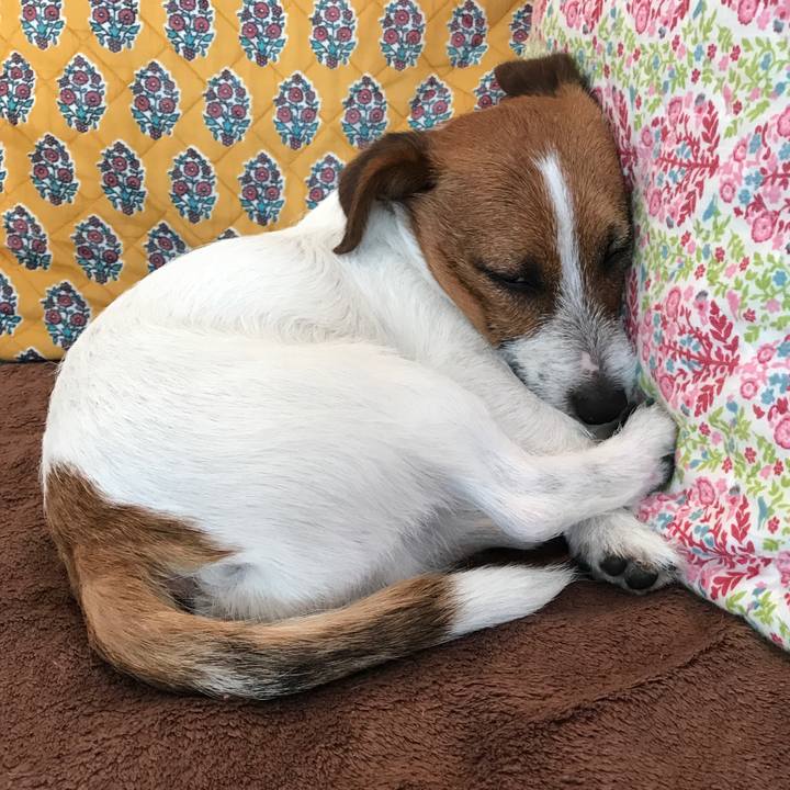 515e4a4b dc76 4ddf af05 0b4ad7a2708f