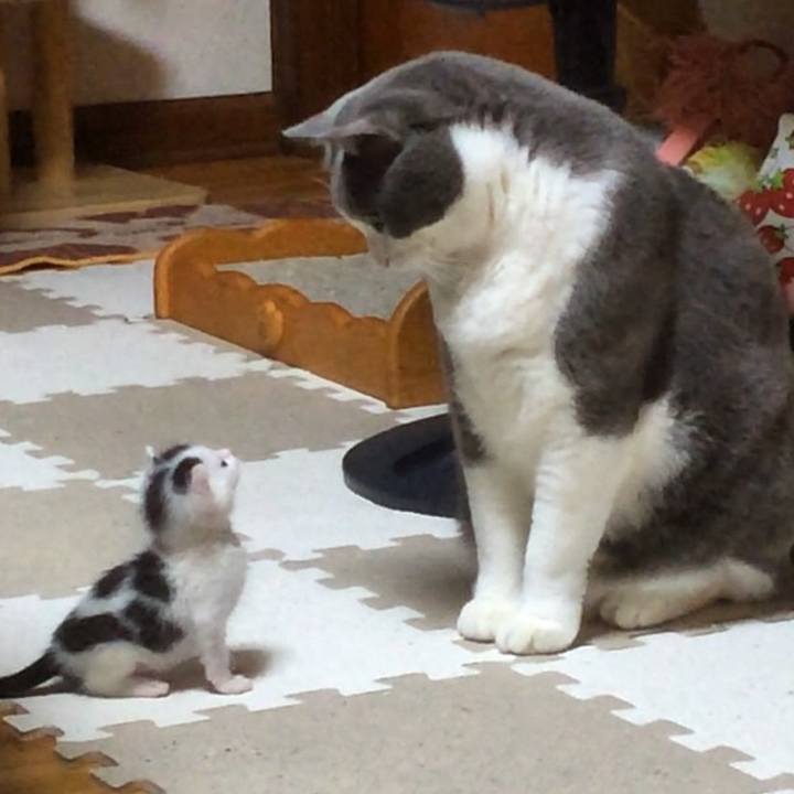 515ea56c 7984 4078 a683 344585c92a23