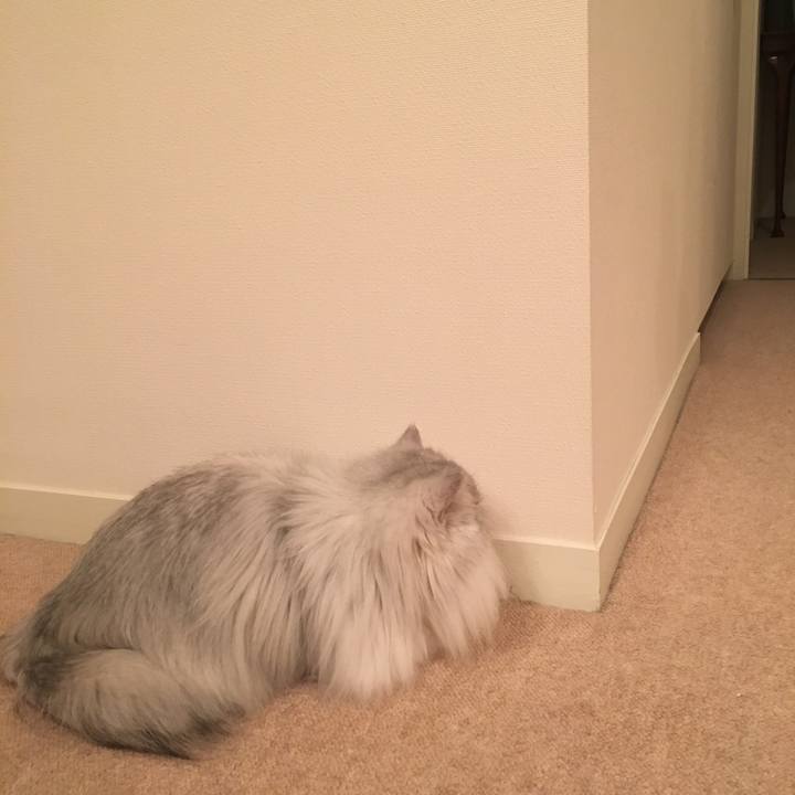 515ef15e ab63 4750 941d 380f1f6569f1