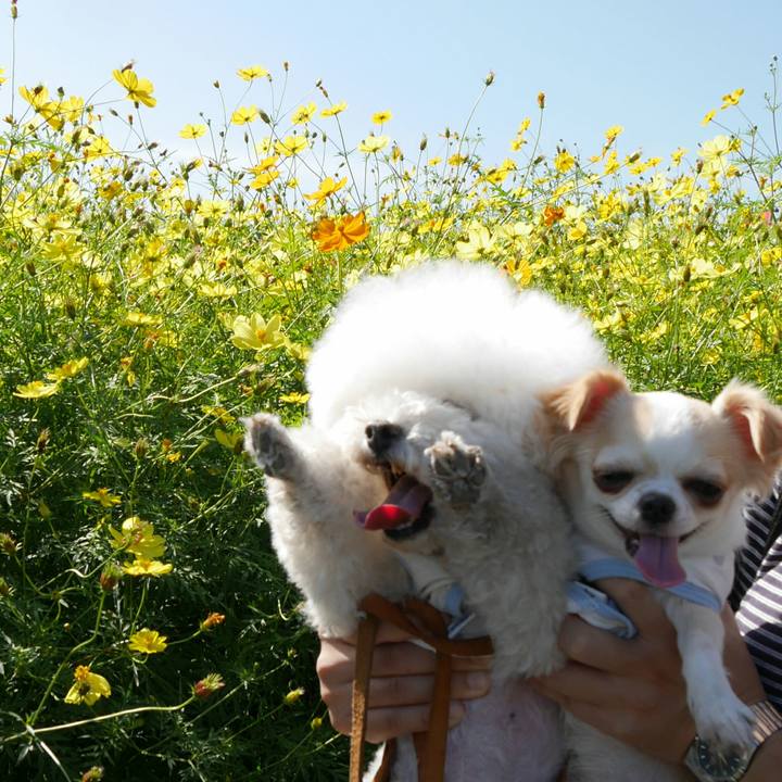 51601518 7d03 473e a831 8678016b4c93