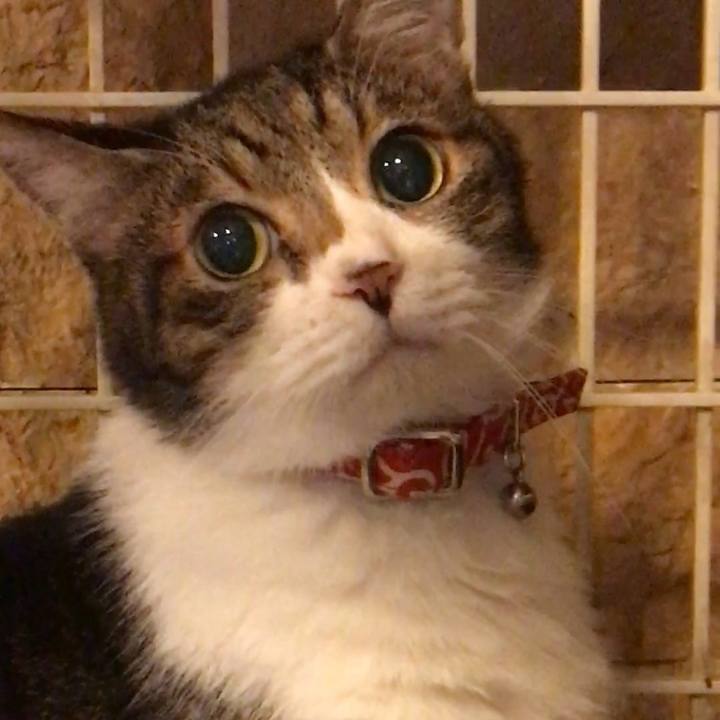 5160175e a6b6 4963 bb16 6b75856f6824