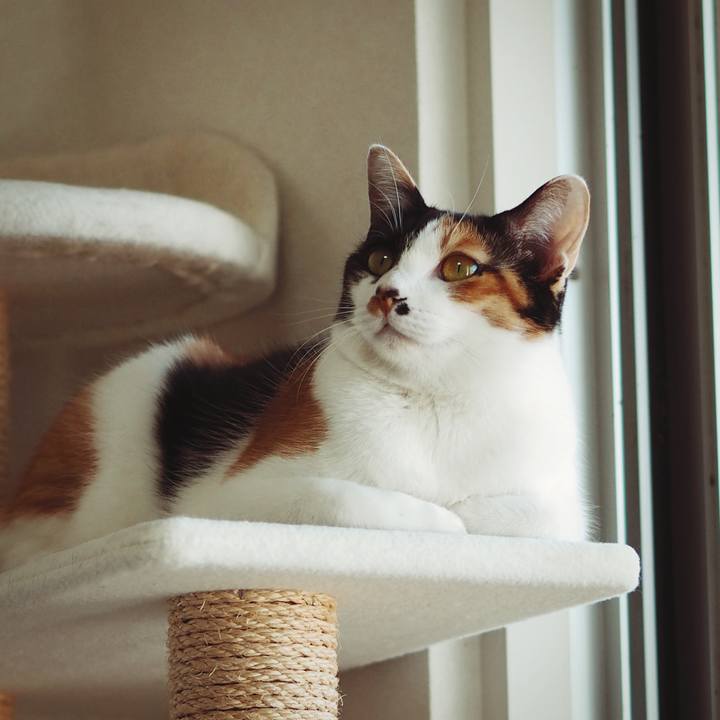 5160564d 69cb 4463 97d8 905b2904c9bb